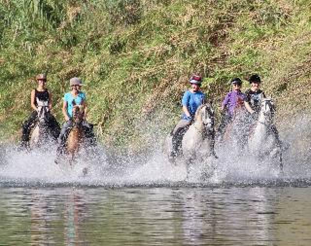 Desportos y Entretenimento