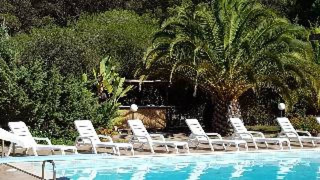 Desportos y Entretenimento