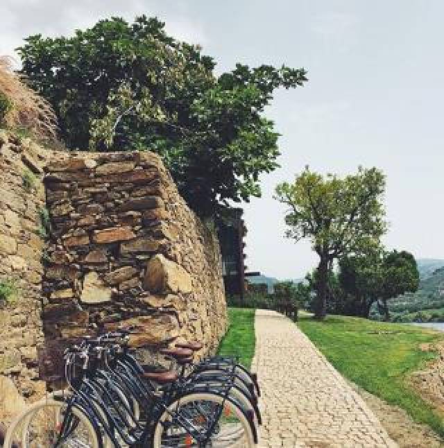Desportos y Entretenimento