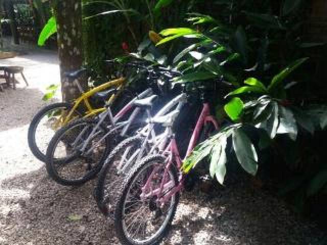 Desportos y Entretenimento