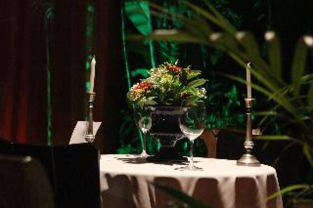 Conferencias