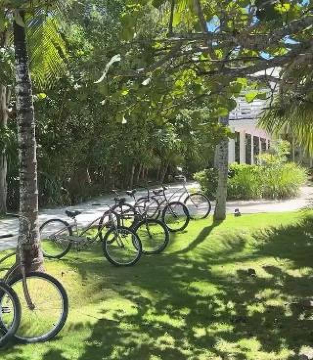 Desportos y Entretenimento
