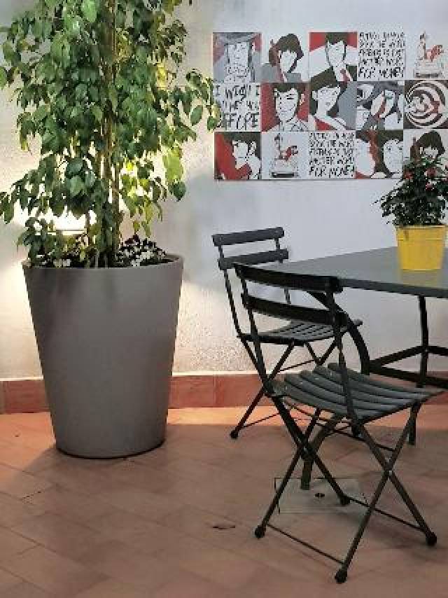 Terraço