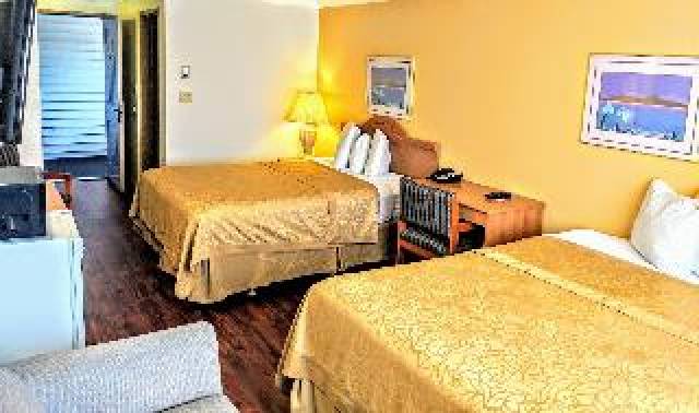 Quarto