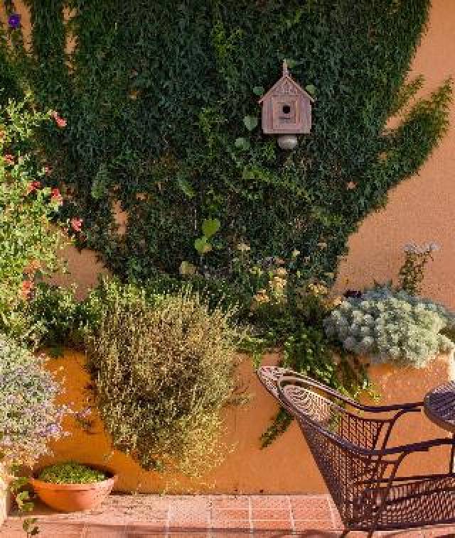 Terraço