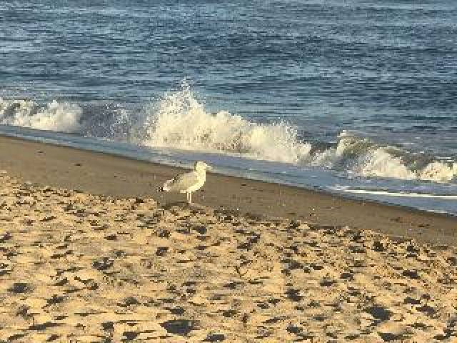Praia