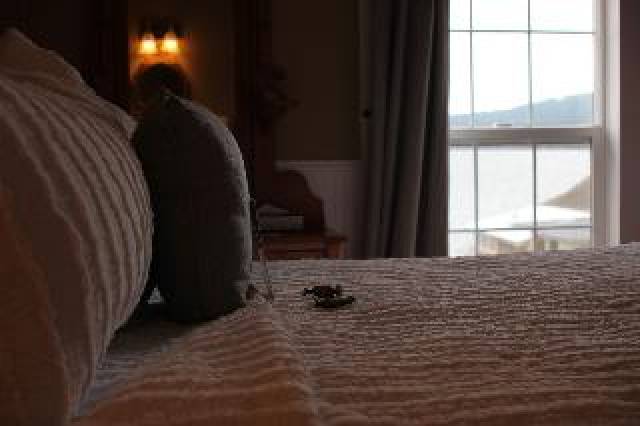 Quarto