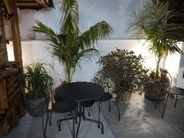 Terraço