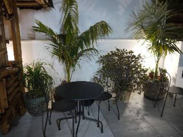 Terraço