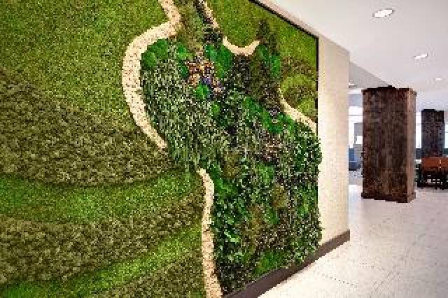 Vista General
