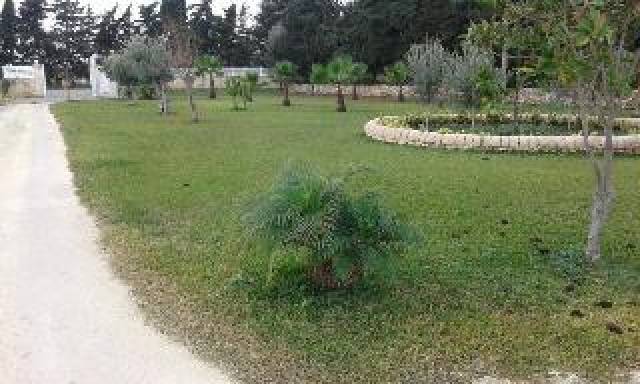 Vista General