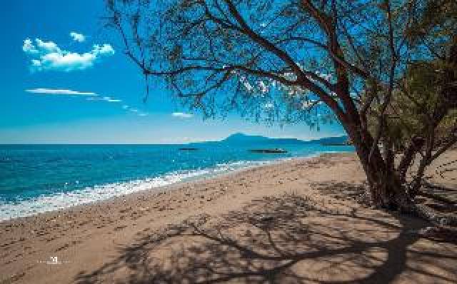 Praia