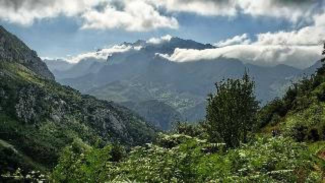 Vista General