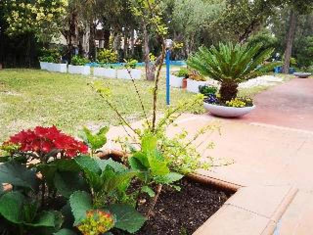 Terraço