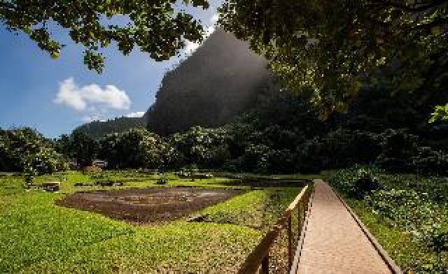 Vista General