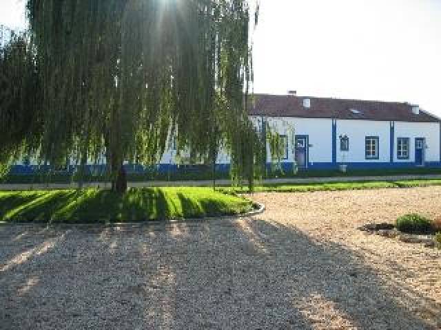 Vista General