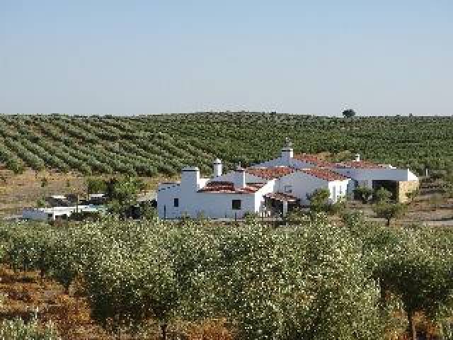 Vista General