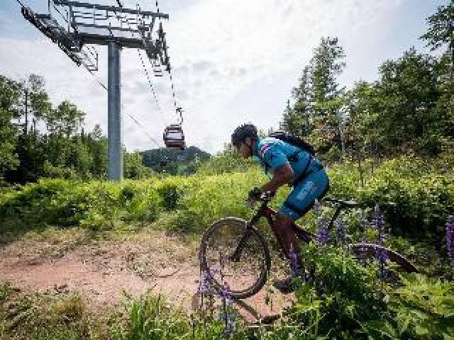 Desportos y Entretenimento