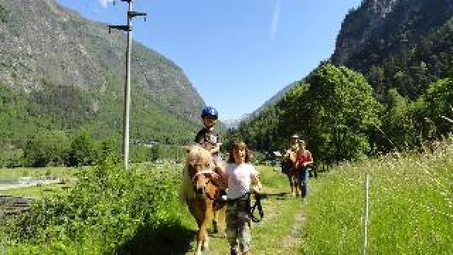 Desportos y Entretenimento
