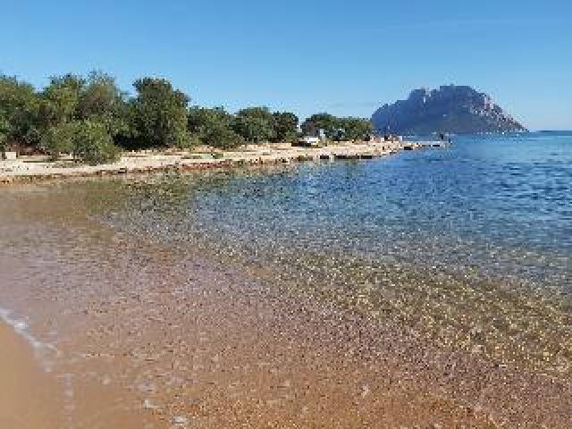Praia