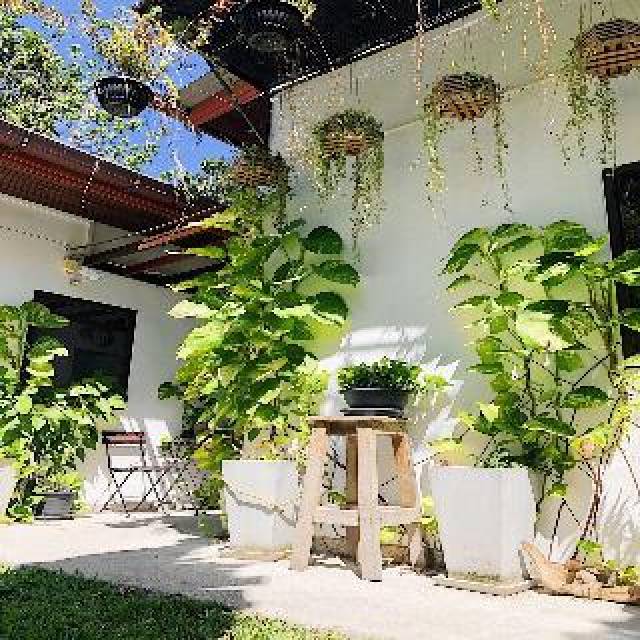 Terraço