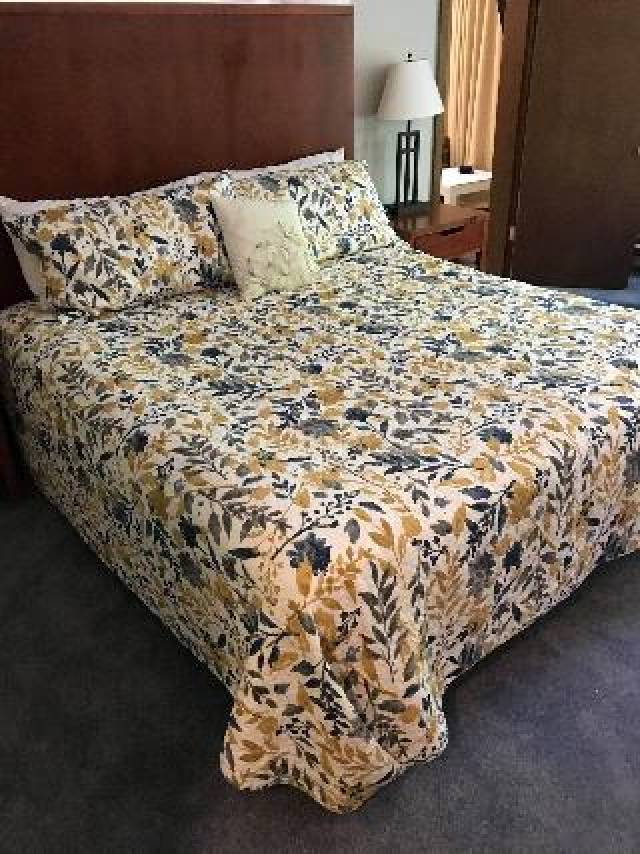 Quarto