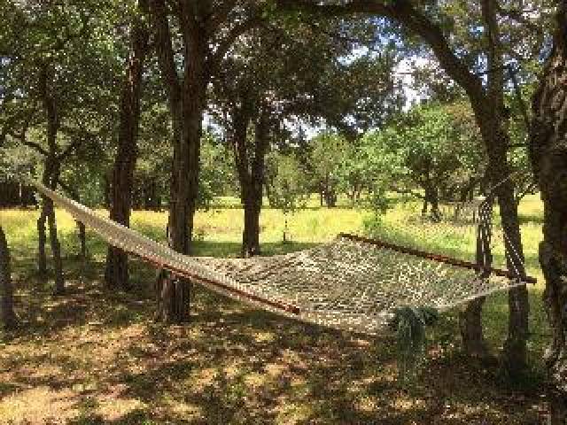 Desportos y Entretenimento