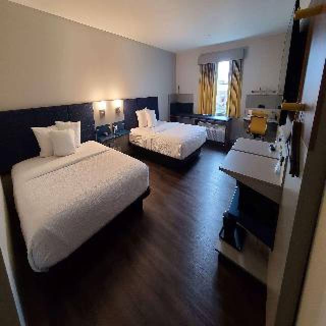 Quarto