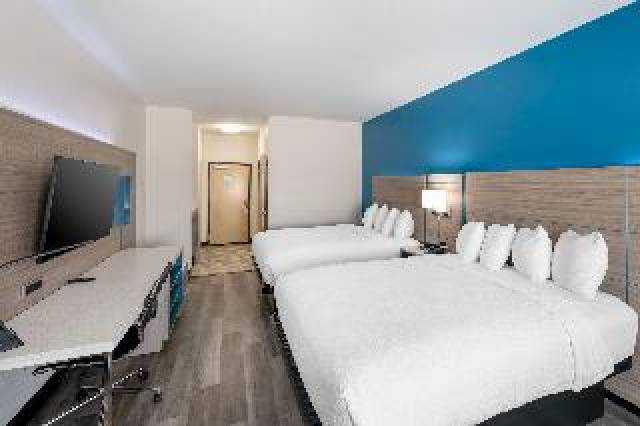 Quarto