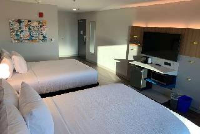 Quarto