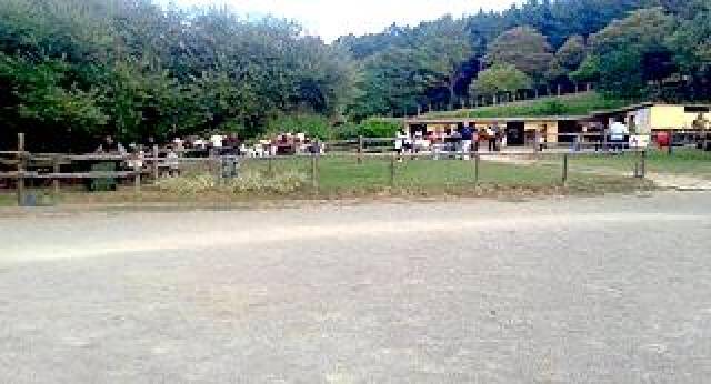 Desportos y Entretenimento