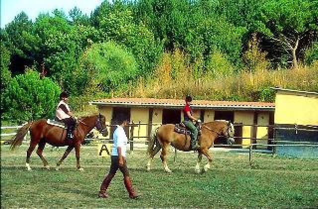 Desportos y Entretenimento