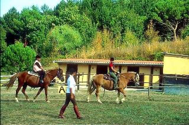 Desportos y Entretenimento
