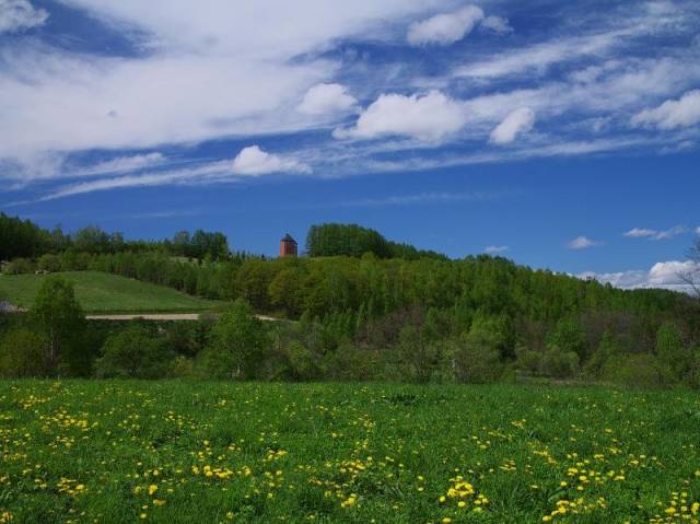 Vista General