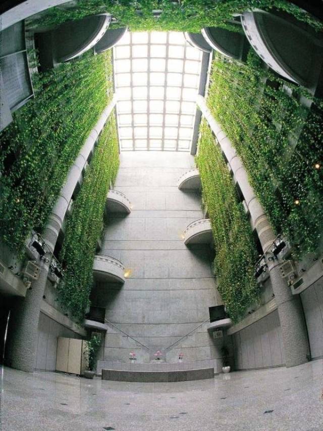 Vista General