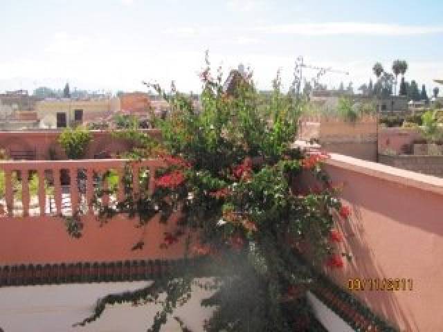 TerraÃ§o