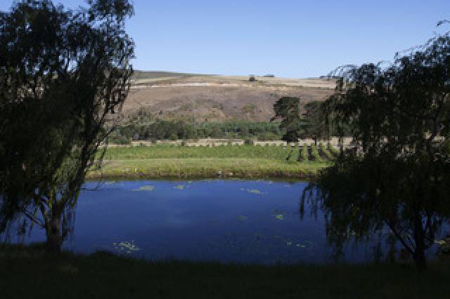 Vista General