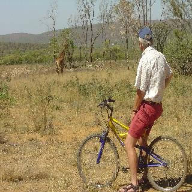 Desportos y Entretenimento