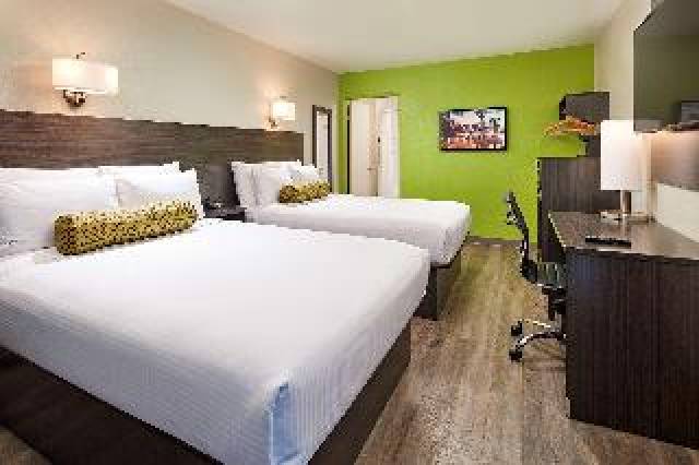 Quarto