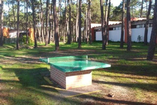 Desportos y Entretenimento