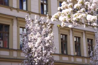 Schoenhouse Apartments