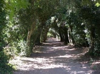 Hotel Rural Quinta de Santo Antonio