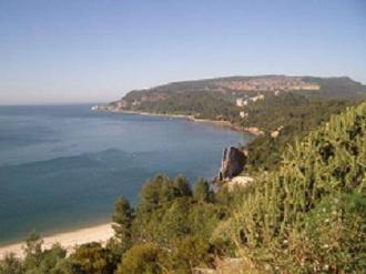 Hotel e Guest House Bocage