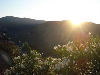 Hotel Rural da Quinta do Silval