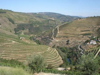 Hotel Rural da Quinta do Silval