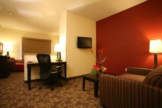 Holiday Inn Omaha Downtown-Airport