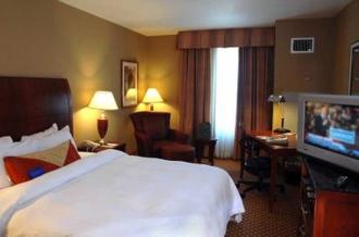 Hilton Garden Inn Tampa Northwest/Oldsmar