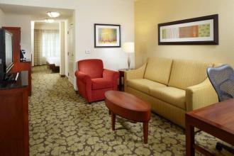 Hilton Garden Inn Dallas Arlington