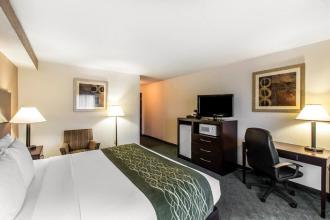 Comfort Inn & Suites at Robins Air Force Base