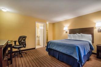 Quality Inn At Quechee Gorge